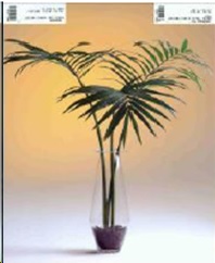 Лист пальмы, 3шт